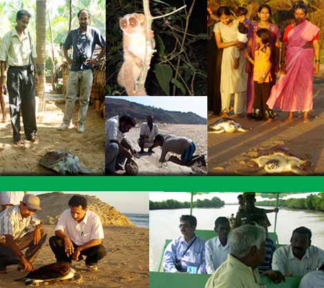 CGA Events
